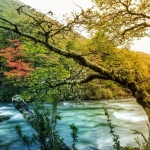 Природа098